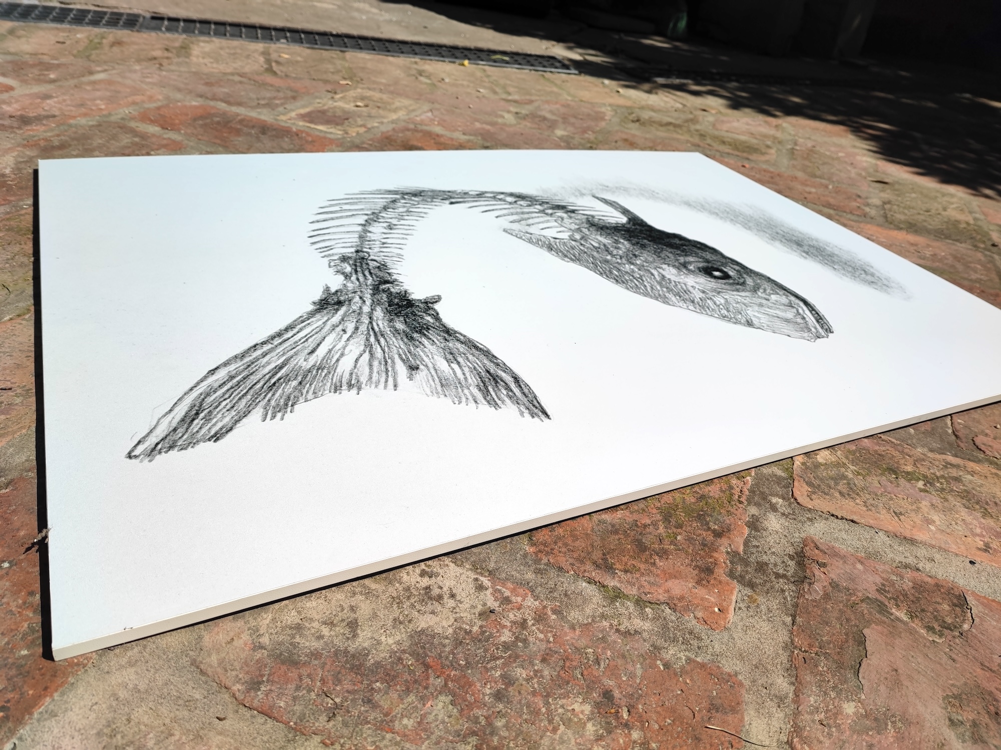 Siccità - immagine 2