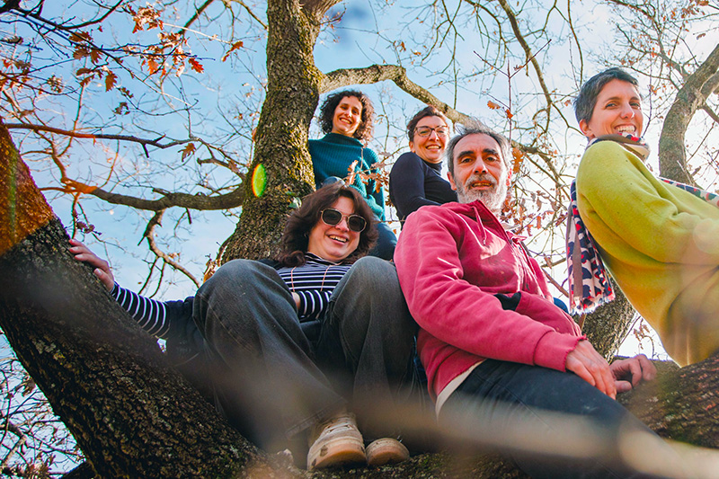 Il team di casa del cuculo sopra un albero
